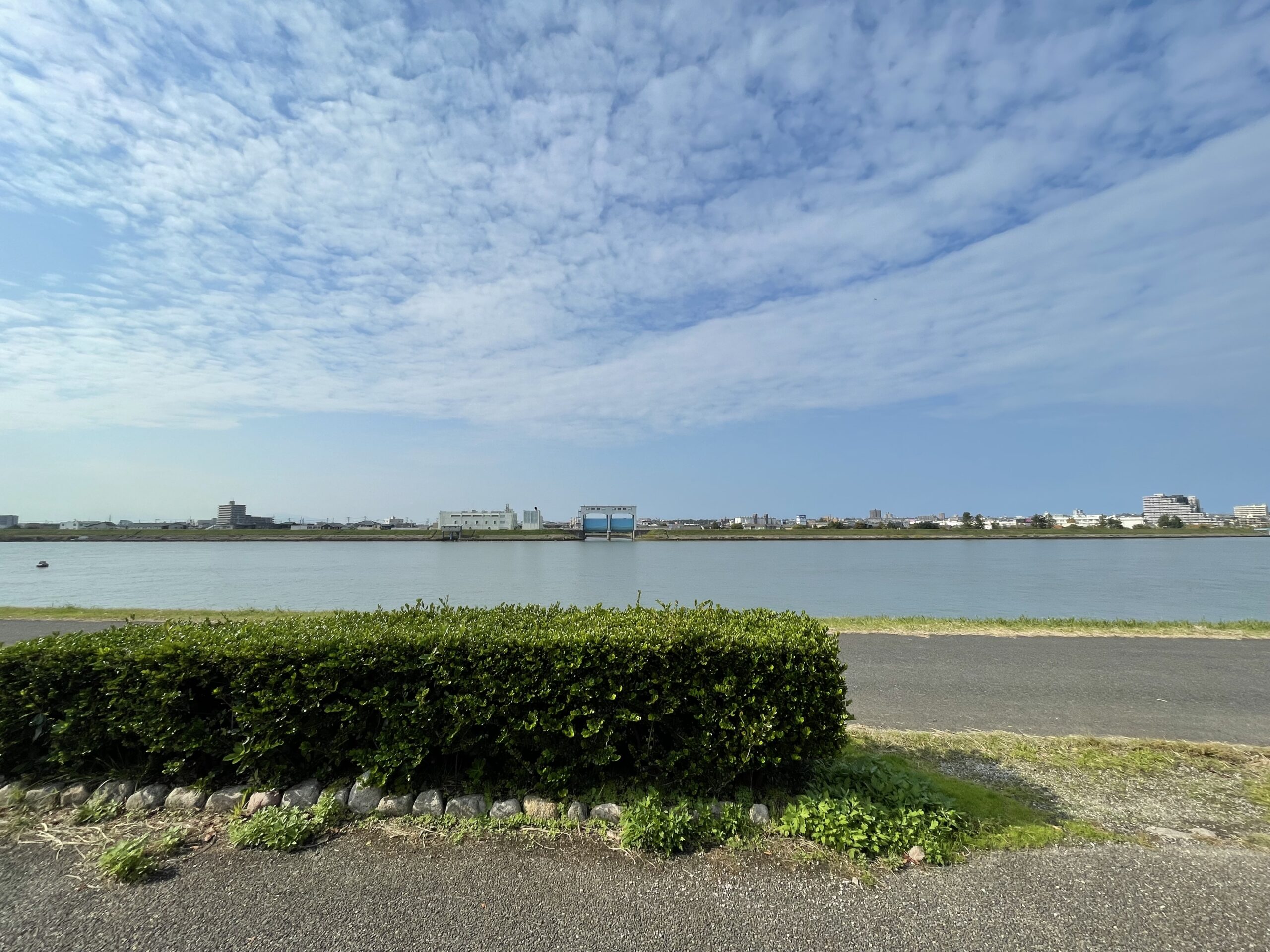 信濃川河川敷